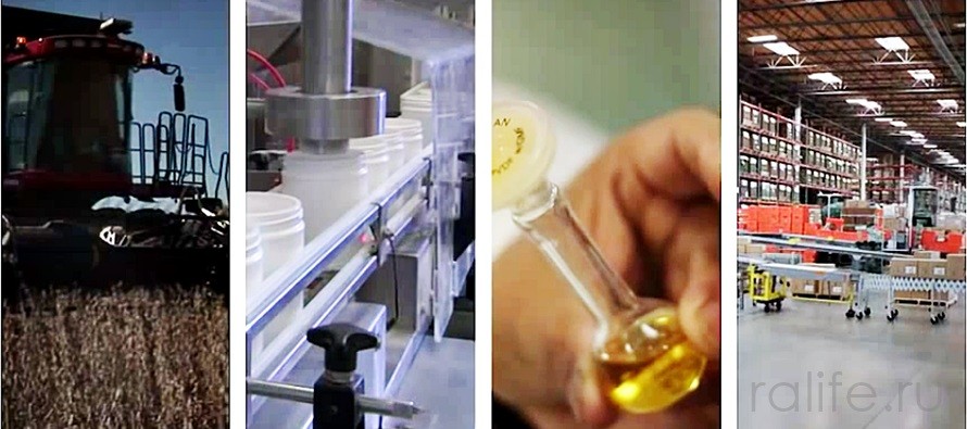 Разработки новых продуктов начинаются с основ здорового питания