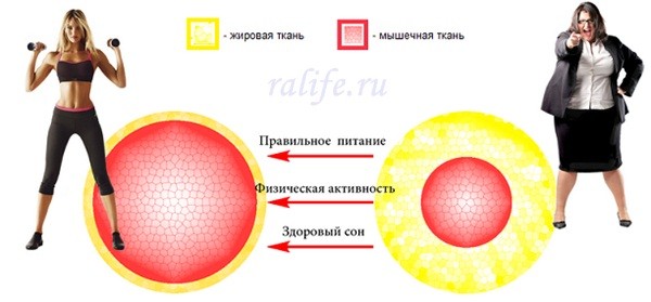 kak-uluchshit-obmen-veshhestv-i-pohudet