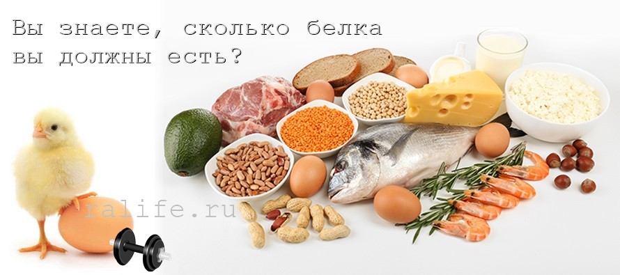 Сколько белка нужно употреблять в день