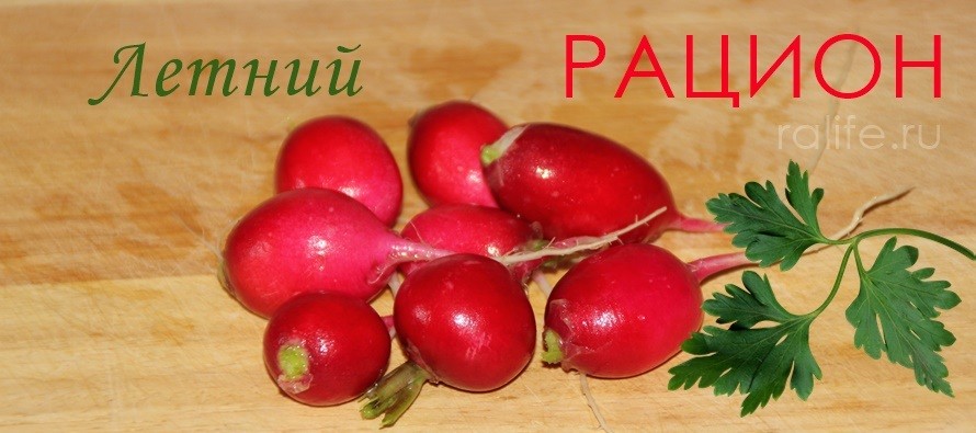 Топ-5 продуктов для летнего рациона питания