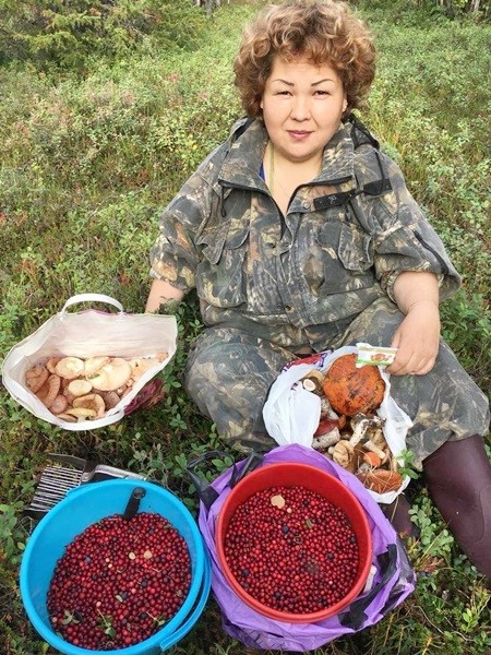 лесные прогулки в Салехарде