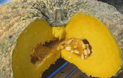 Как питаться, чтобы похудеть