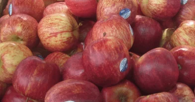 витамины и минералы в яблоках