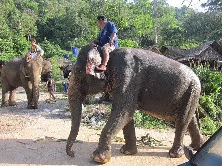 Мое путешествие на Пхукет Мое путешествие на Пхукет