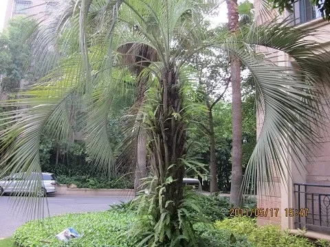 Спальные районы Гуанчжоу Спальные районы Гуанчжоу