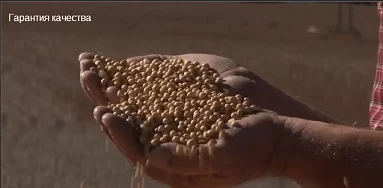 Продукция Гербал