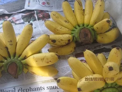 рынки на Пхукете