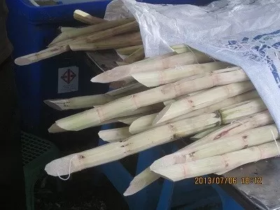 рынки на Пхукете