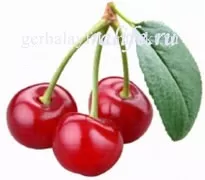 Сколько сахара во фруктах