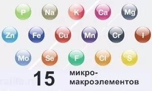 Витамины и микроэлементы