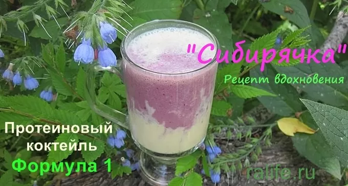 А вы пробовали белковый коктейль с жимолостью "Сибирячка"? белковый коктейль с жимолостью "Сибирячка"