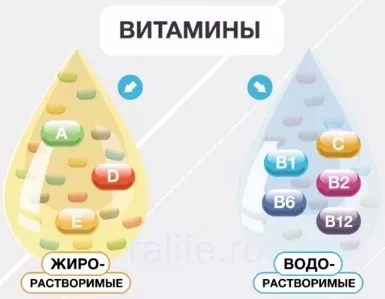 Витамины и микроэлементы