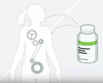 Биологически активные добавки к пище биологически активные добавки