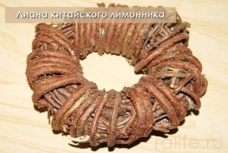чай из китайского лимонника
