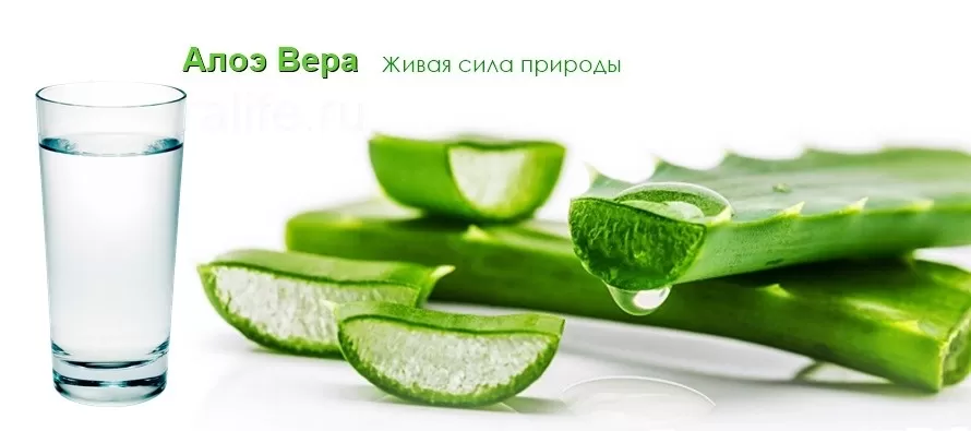 Напиток с живительной силой Алоэ Вера гербал алоэ вера сок