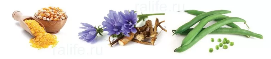 kompleks-pishhevyih-volokon