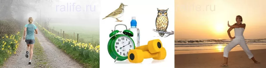 какое лучшее время для спортивных тренировок