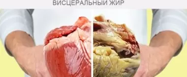 Почему растет живот и как с этим бороться Почему растет живот