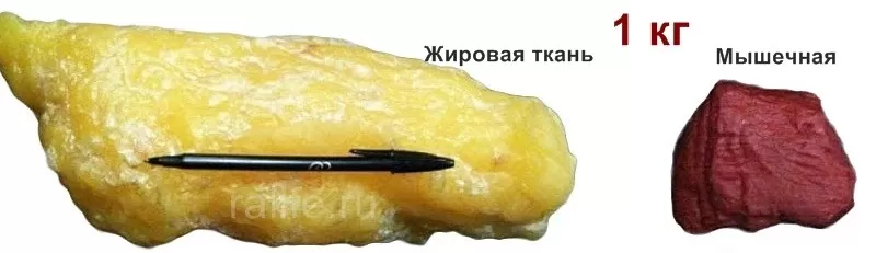 медленно уходит вес причины