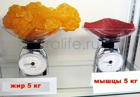 Объем или вес: какой критерий важнее при похудении