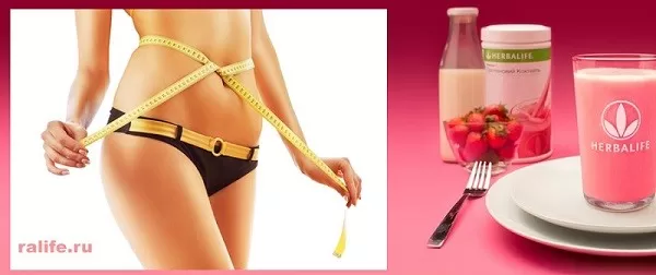 дневник питания