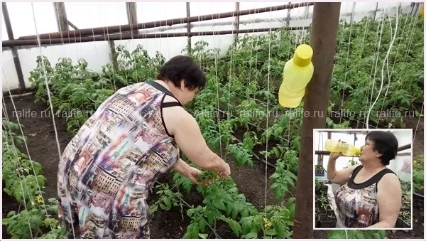 как правильно и сколько пить воды