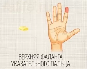 норма жиров в порции