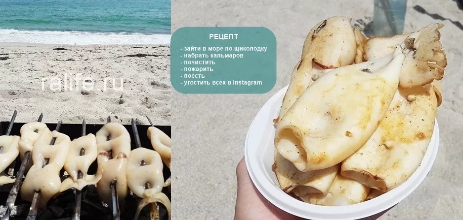 кальмары в приморье