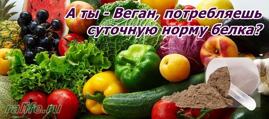 питание для вегетарианца