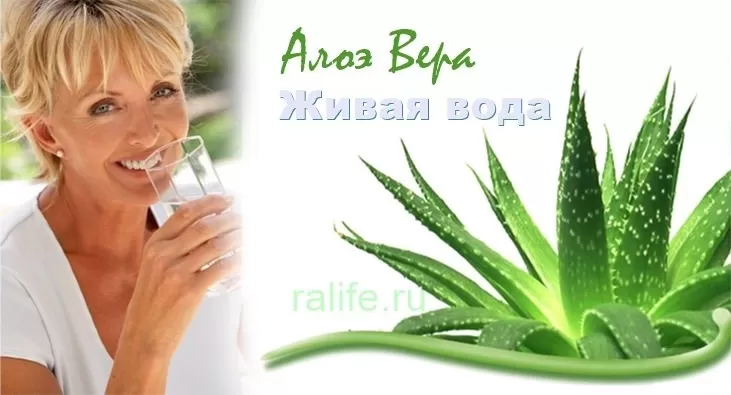 сок алое для снижения веса