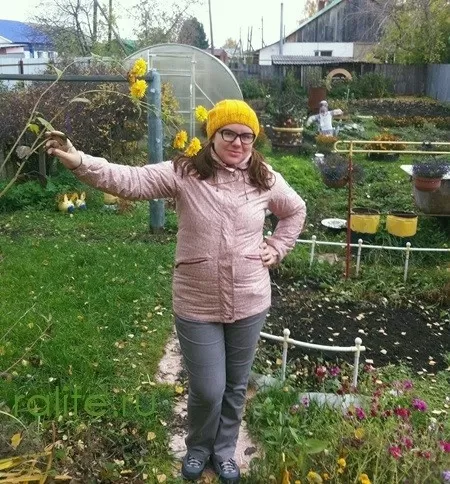 план питания в деревне