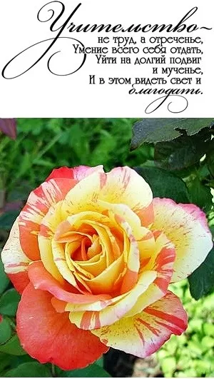 поздравление с днем учителя