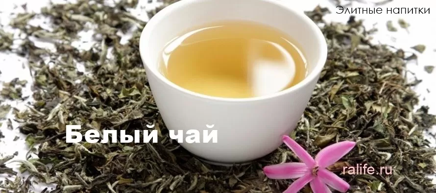 Белый чай: польза и вред белый чай польза и вред