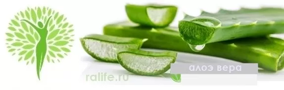 очищение организма herba