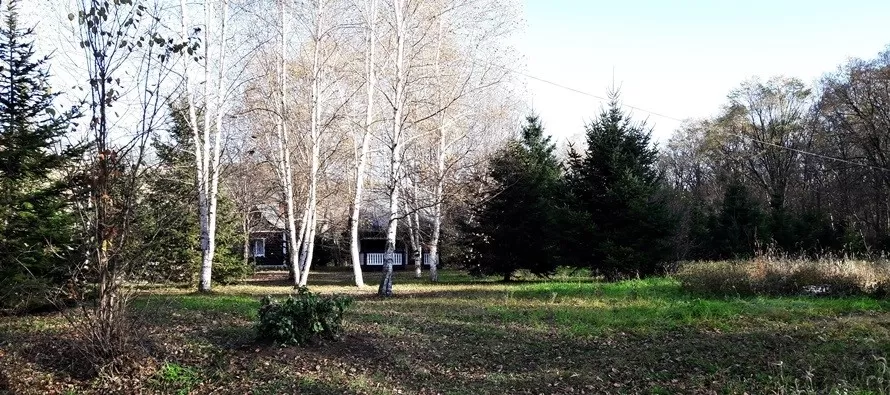 природа приморья