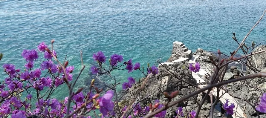 Бухта Анна. Купальный сезон открыт! база отдыха Маяк отзывы