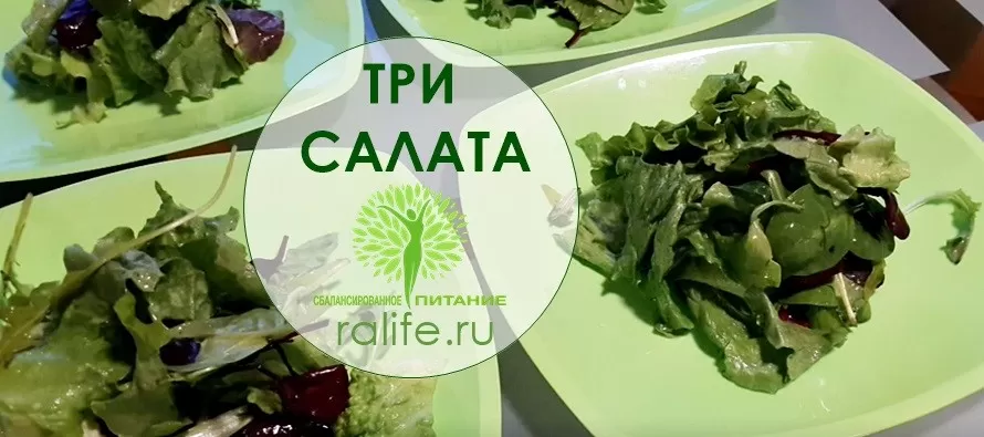 Три простых рецепта вкусных салатов для здорового питания Три простых рецепта вкусных салатов для здорового питания