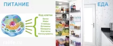 Продукты клеточного питания