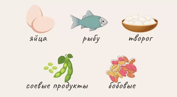 белковые продукты питания