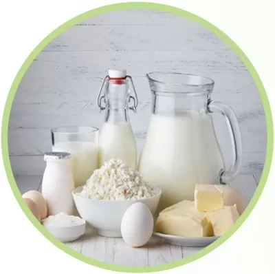 белковая диета