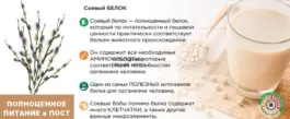 Питание во время Великого Поста 2024 Питание во время Великого Поста 2024